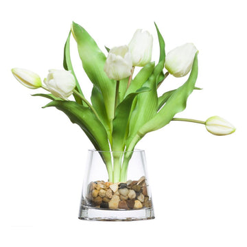 White Tulip Waterlike