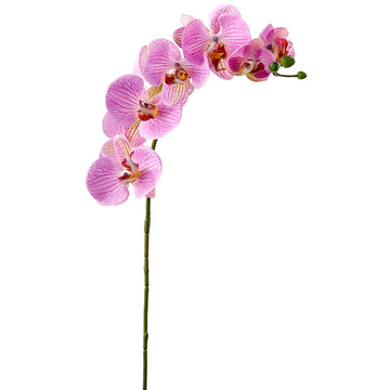 Real Touch Phalaenopsis Orchid Two Tone Purple