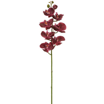 Real Touch Phalaenopsis Orchid Spray Plum