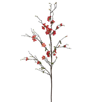 Quince Blossom Branch Coral