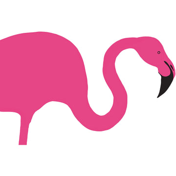 Placemats -  Flamingo