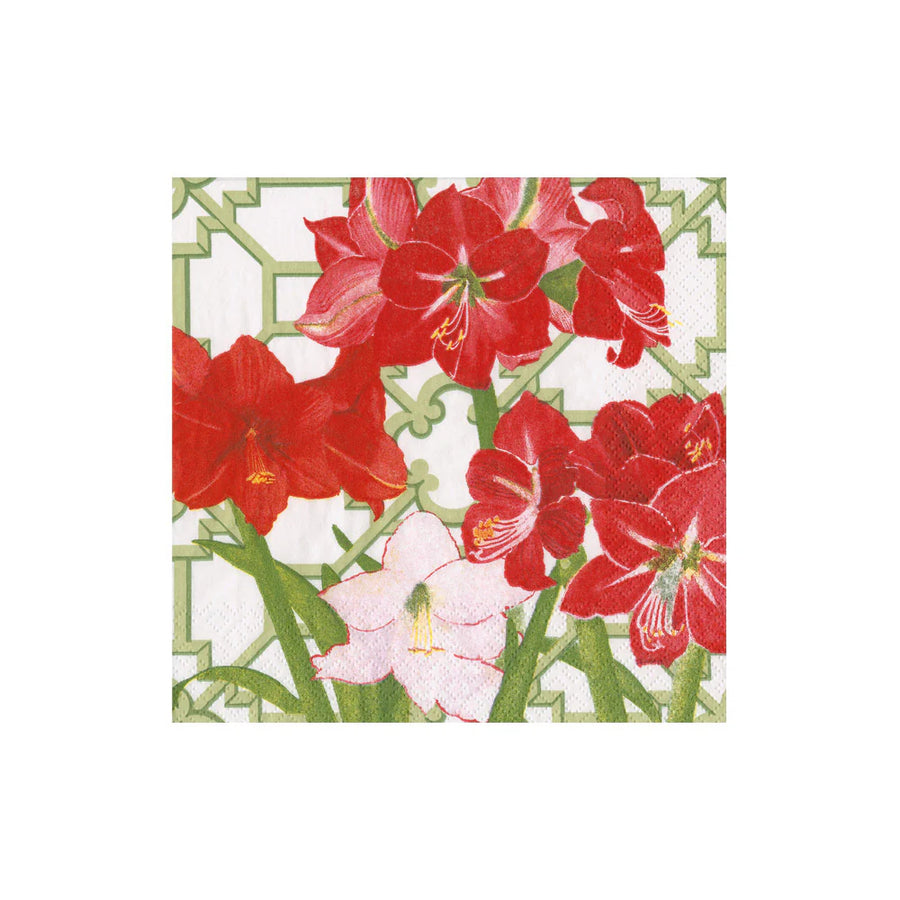 Amaryllis Conservatory Cocktail Napkins