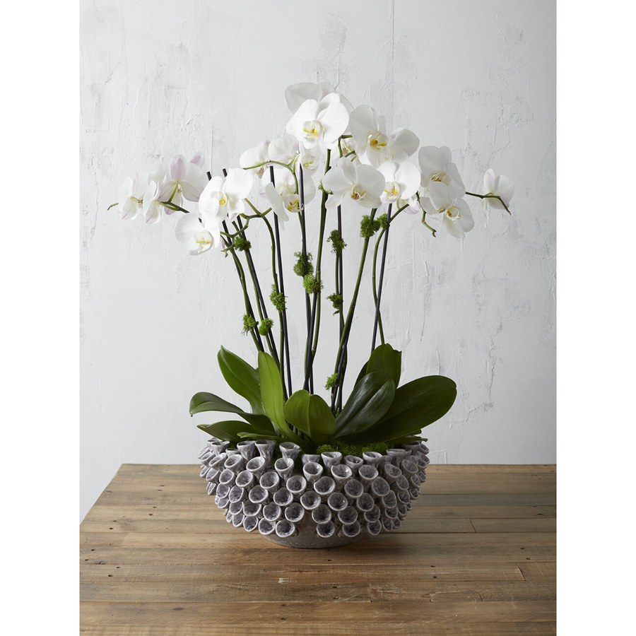 Iris Dark Blue Bowl