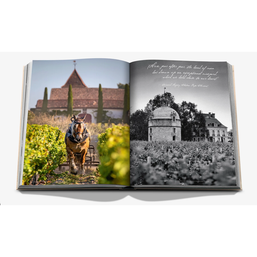 Wine & Travel France