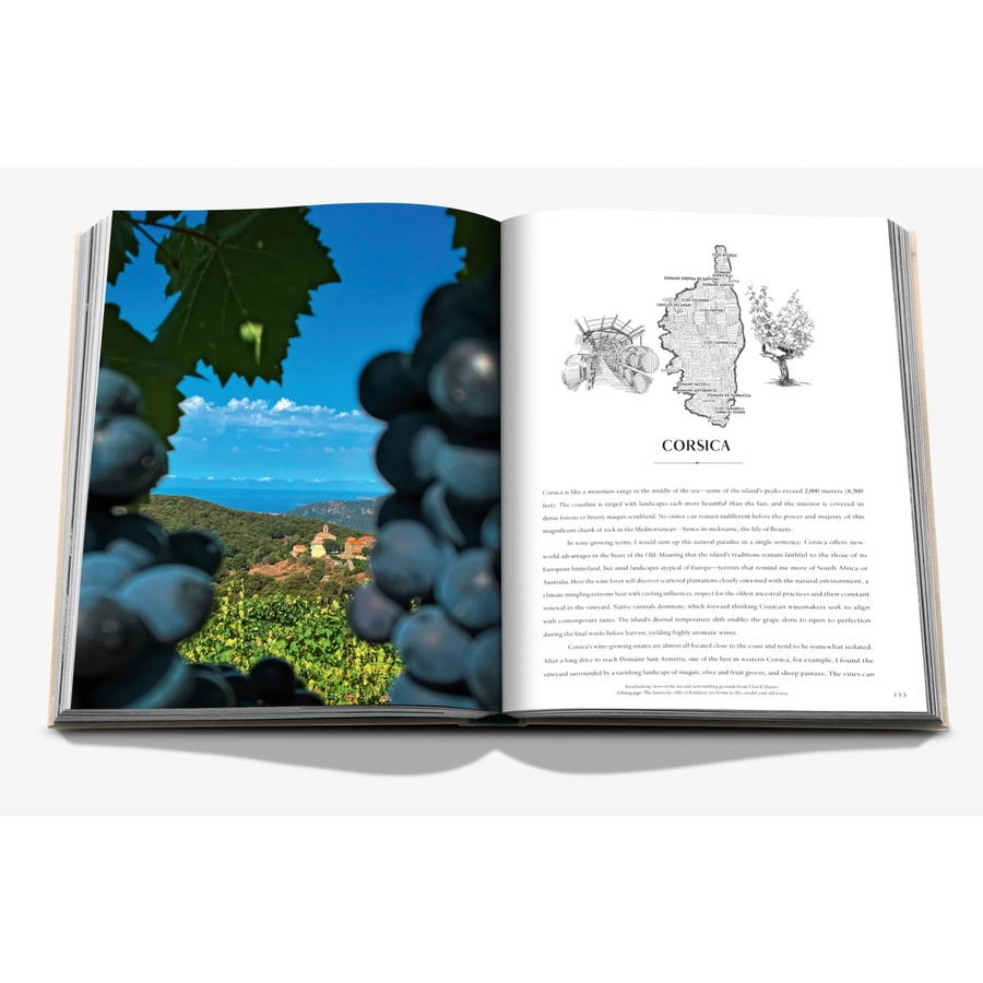 Wine & Travel France