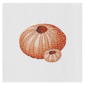 Urchin Blush Hand Towel