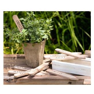 Wooden Herb Plant Stakes in Wooden Box