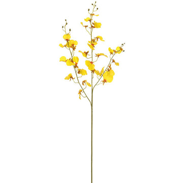 Real Touch Oncidium Orchid