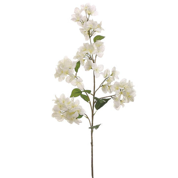 Bougainvillea Spray  White