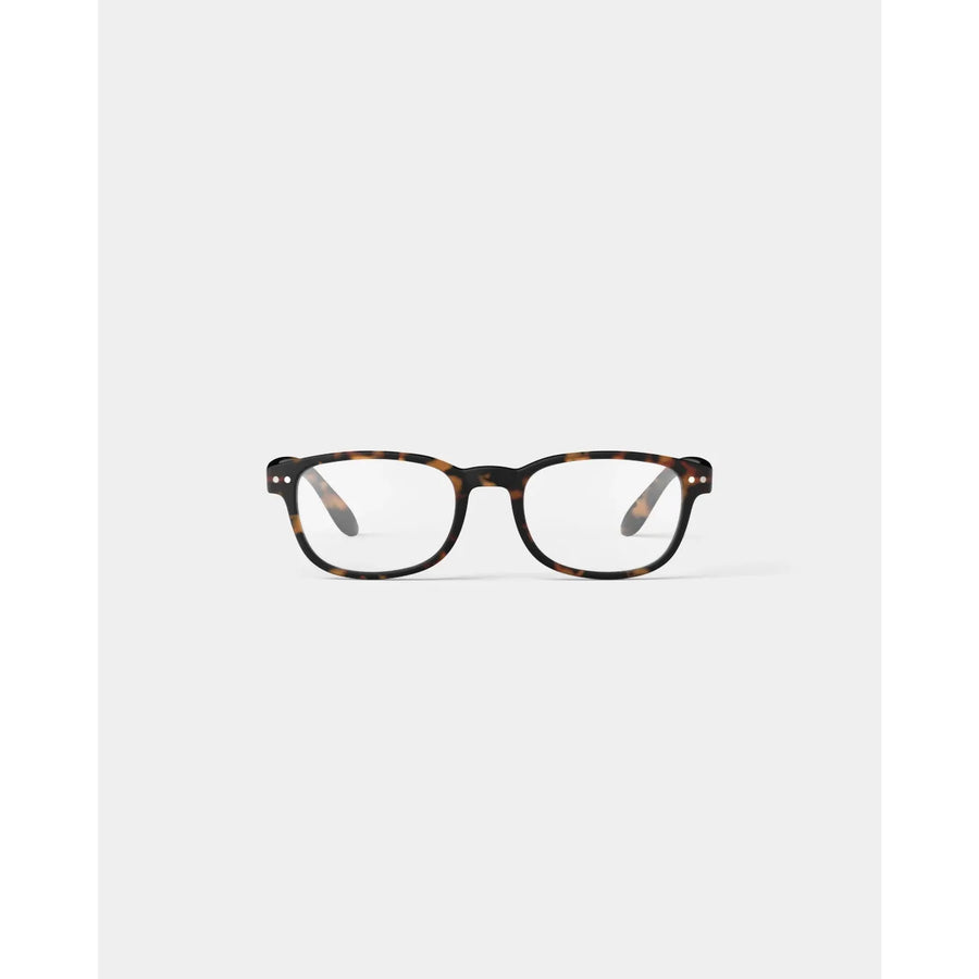 Reading Tortoise # B+2.5