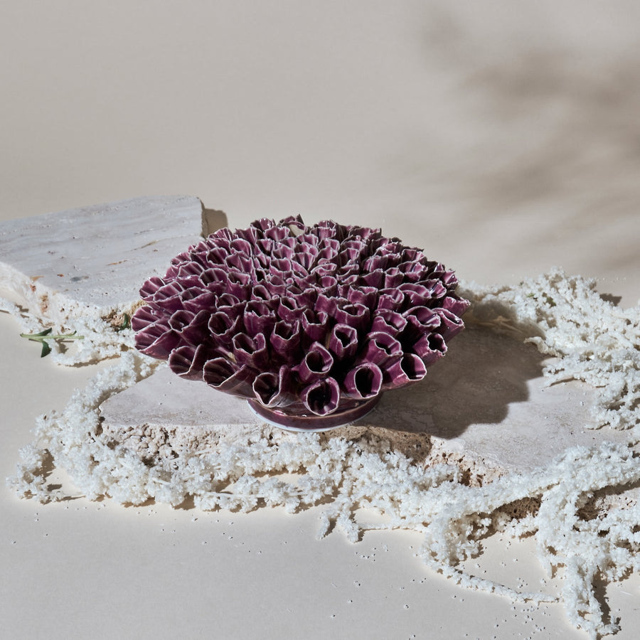 Anemone - Large