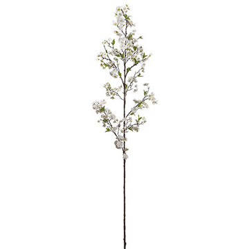 Cherry Blossom Branch  White
