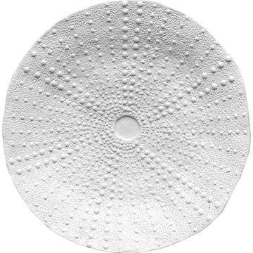 Ceramic Urchin Platter-Matte White