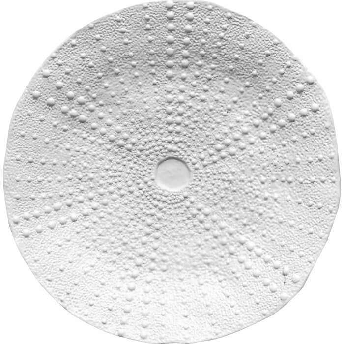 Ceramic Urchin Platter-Matte White