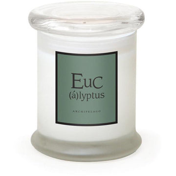 Archipelago Frosted Jar Candle 8.6 oz - Eucalyptus