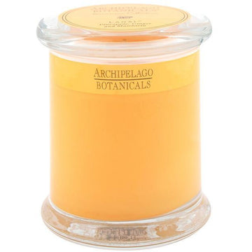 Archipelago Botanicals Excursion Glass Jar Candle - Lanai