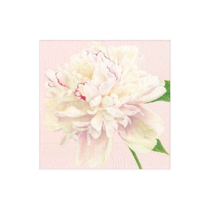 Duchess Peonies Paper Cocktail Napkins in Blush