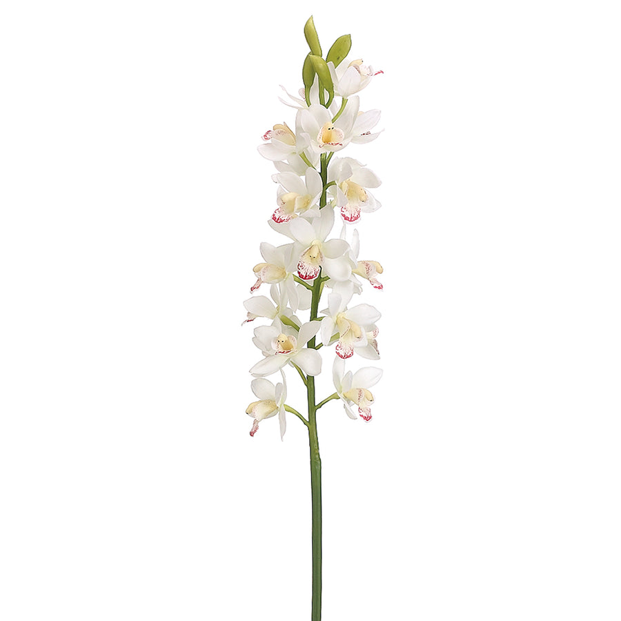 Cymbidium Orchid Spray Cream Burgundy 31