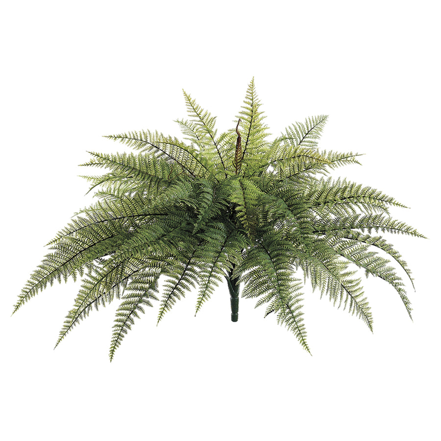 20” Mountain Fern Bush Green