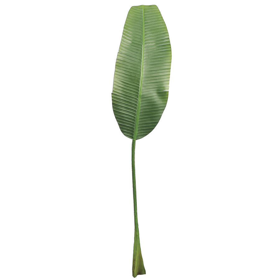 Banana Leaf Spray Green