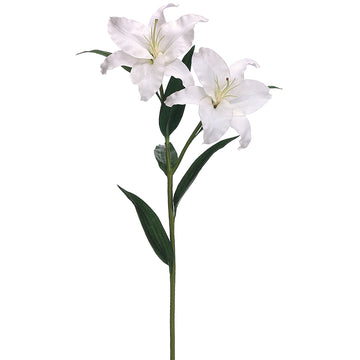 Casablanca Lily Spray White