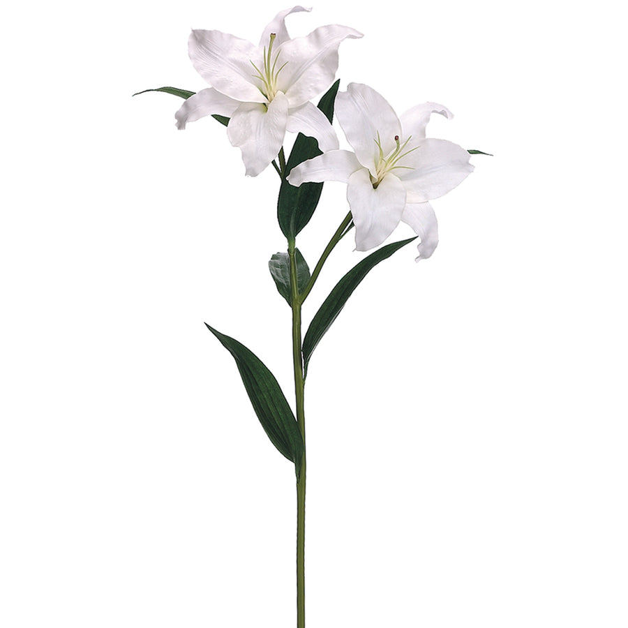 Casablanca Lily Spray White
