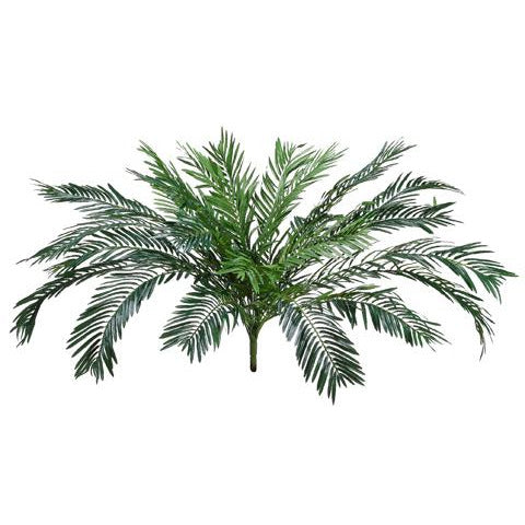 24” Cycas Palm Bush