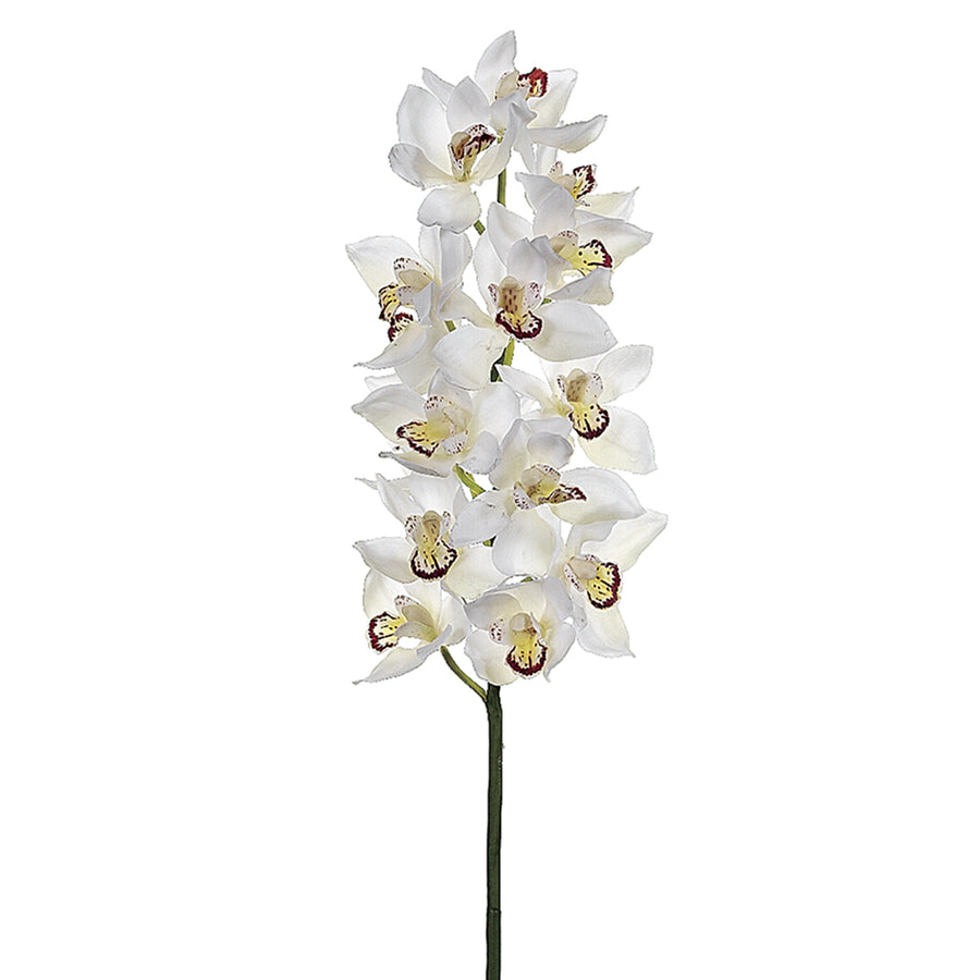 Cymbidium Orchid Spray Cream Burgundy 34