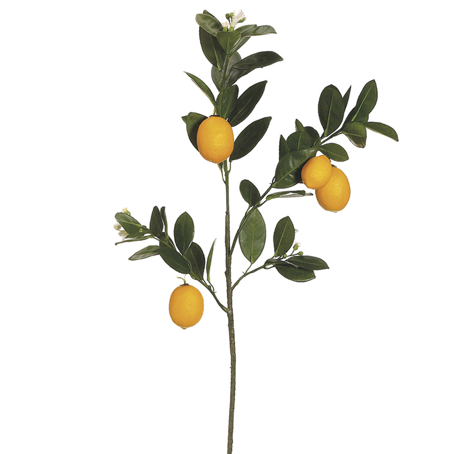 Lemon Branch Yellow