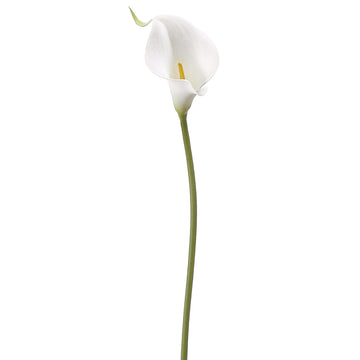 Mini Calla Lily Spray White