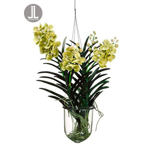 Vanda Orchid Hanging Plant In Glass Vase Green