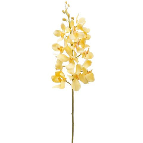 Vanda Orchid Spray Two Tone Yellow