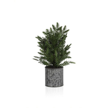 Pine Tree Galvanized Pot