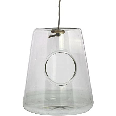 Hanging Glass Isosceles Terrarium