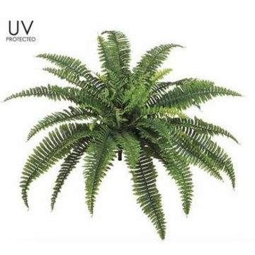 UV Protected Boston Fern Bush Green